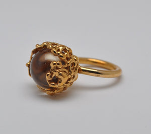 Kosmos, anello mondo d'acqua